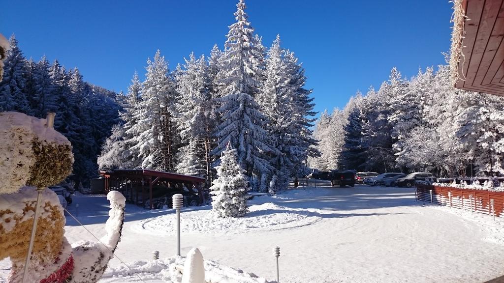 Tes Rila Park Apartments Borovec Kültér fotó